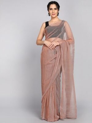 Indian Women Embellished Saree