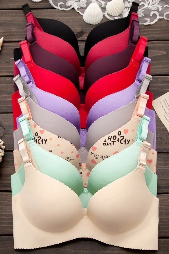 Women's Lightly Padded Elastane Full Coverage Bra