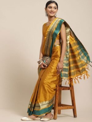 Beautiful women's saree with blouse