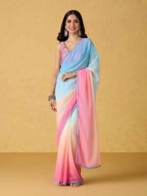 Beautiful women's saree with blouse