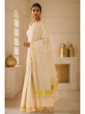 Beautiful women's saree with blouse