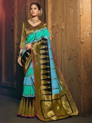 Beautiful women's saree with blouse