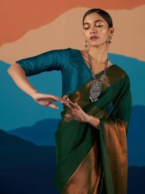 Beautiful women's saree with blouse