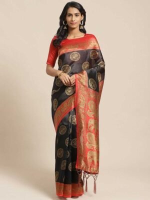 Beautiful women's saree with blouse