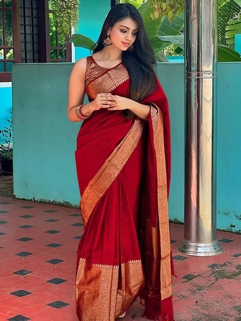 Banita Fashionable Sarees / Wedding Saree