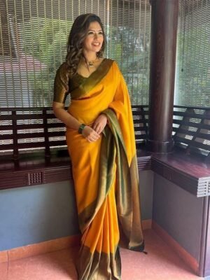 Banita Fashionable Sarees / Wedding Saree