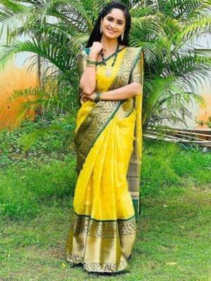 Aldwych Woven Design Ethnic Motifs Zari Banarasi Saree