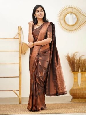 Anjaneya Sarees Ethnic Woven Design Zari Silk Banarasi Saree